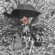 28th Oct 2015 - Bones Is Ready For Halloween