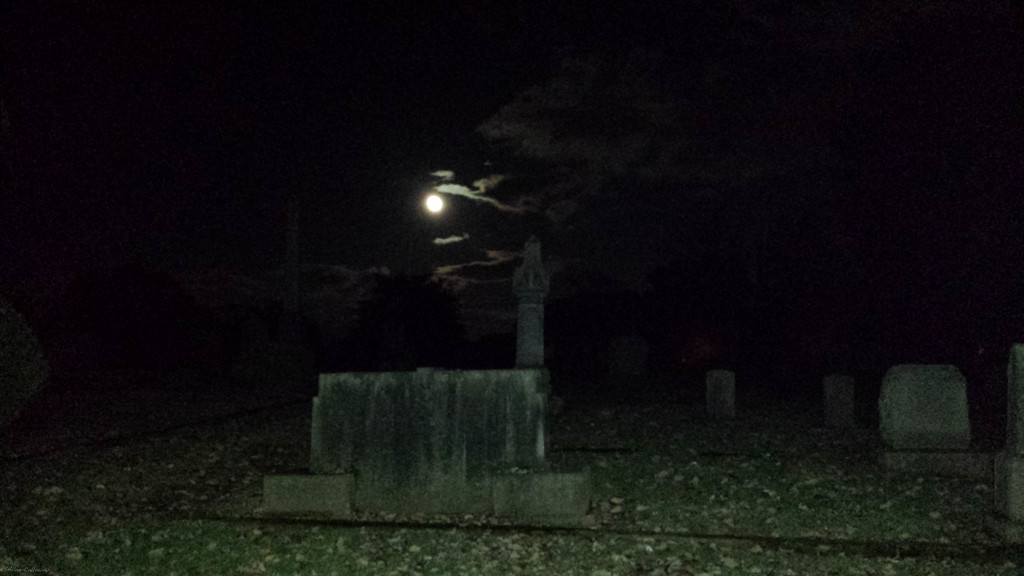 Full moon in the cemetary by randystreat