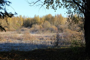 10th Oct 2015 - Wetland Park in Riihimäki IMG_8759