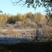 Wetland Park in Riihimäki IMG_8759 by annelis