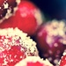 Jam by pistache