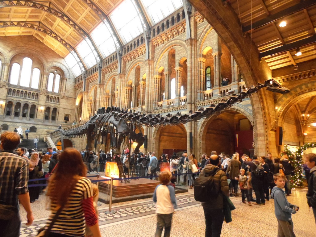 Dippy the diplodocus by dragey74