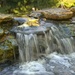Flowing Water by lynne5477