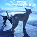 My Dogs were loving having the water spray in their faces by frantackaberry