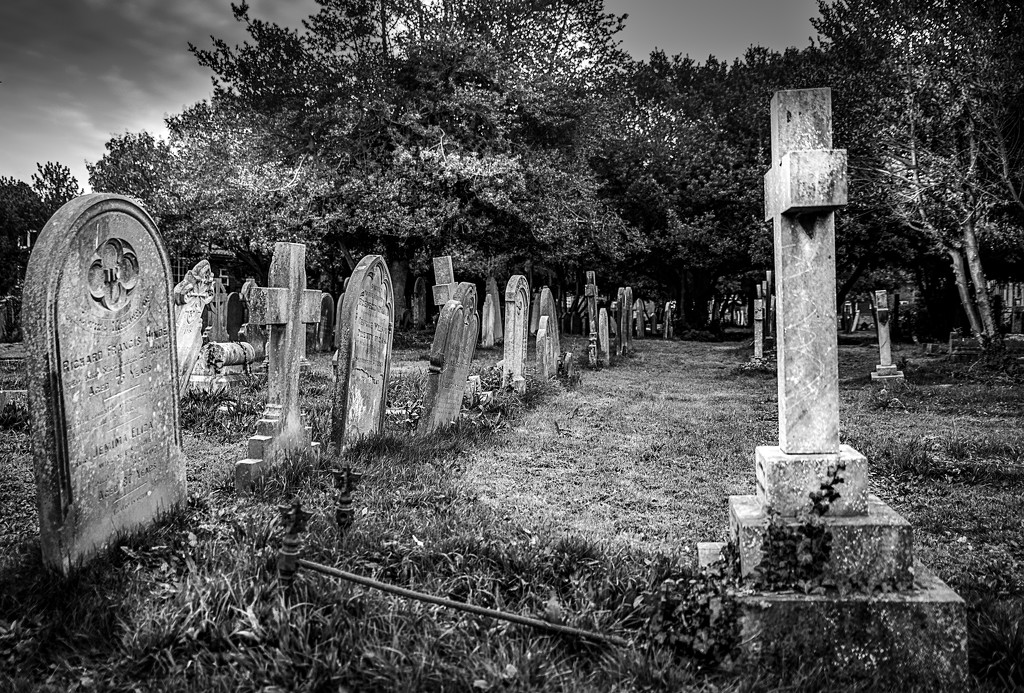 Gloomy Graveyard on a Gloomy Day by vignouse