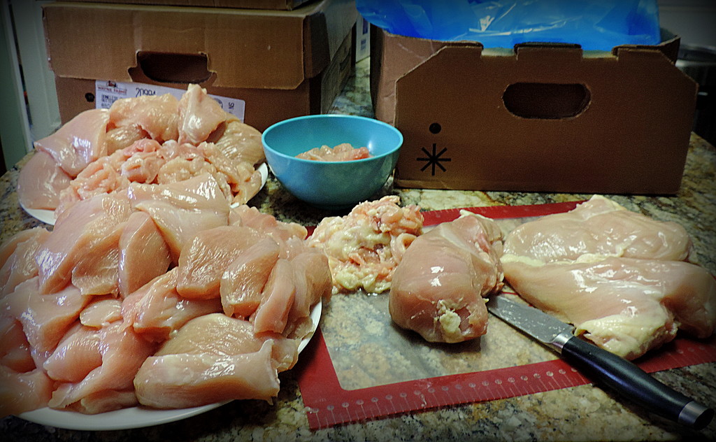 80 pounds of chicken, oh, my! by homeschoolmom