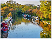 30th Oct 2015 - Late Afternoon On The Canal