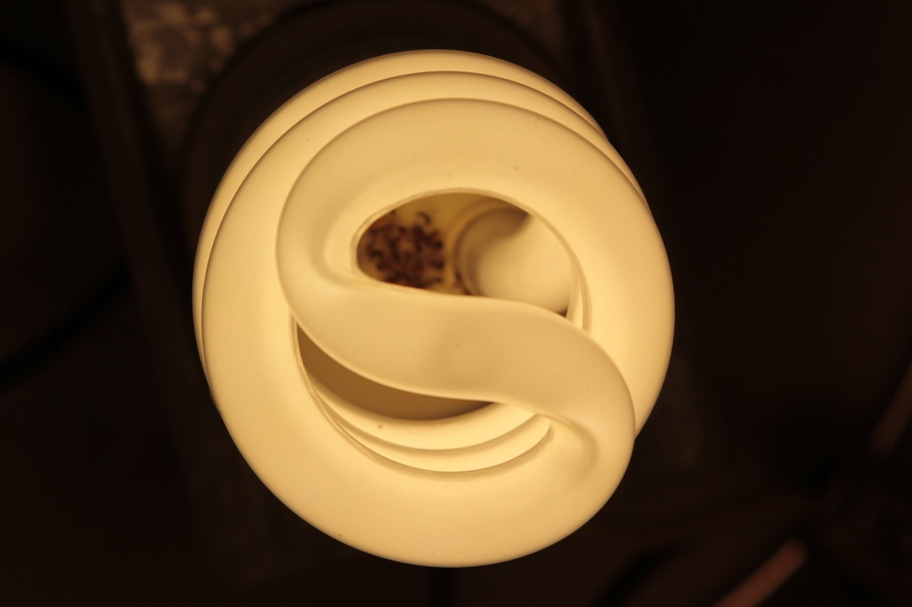 Compact Fluorescent  by robv