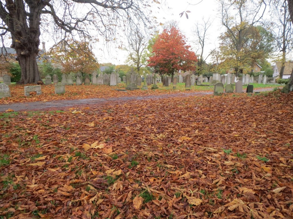 Leaf Carpet in the Churchyard by foxes37