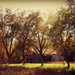 Fall in the Country! by homeschoolmom