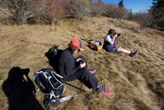 30th Oct 2015 - Resting in the Bald