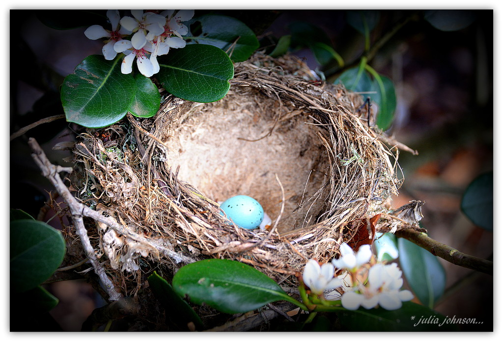 Empty Nest Syndrome.. by julzmaioro