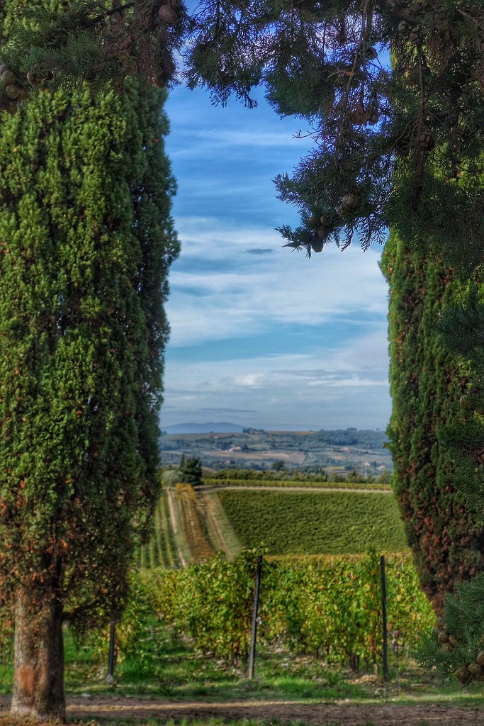 Buongiorno Toscana by cocobella