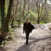 Flashback - A walk in the wildwoods by swillinbillyflynn