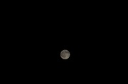 21st Nov 2010 - Blue moon