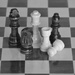 Chess Pieces by salza