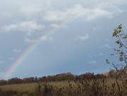 28th Oct 2015 - Look....A Rainbow!