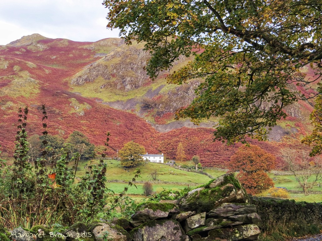 Autumn in the Lakes by craftymeg