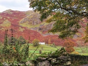 31st Oct 2015 - Autumn in the Lakes