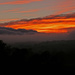 Sunset  by shirleybankfarm