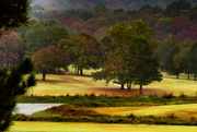 31st Oct 2015 - Rainy Morning on the Golf Course