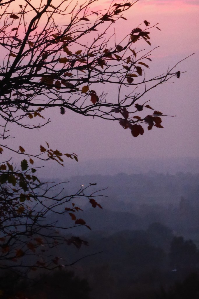 Red sky across the Cheshire  plain by helenhall