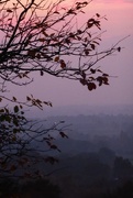 31st Oct 2015 - Red sky across the Cheshire  plain