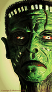 31st Oct 2015 - Frankenstein Created Me