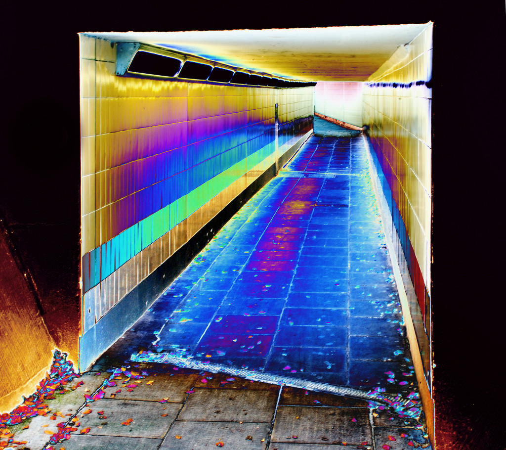 psychedelic tunnel by davidrobinson