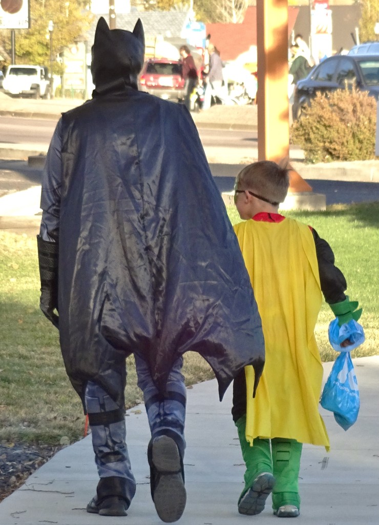 Batman and Robin Sighting by dmdfday