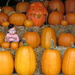 Pumpkin Barn by juletee