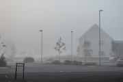 1st Nov 2015 - imageinto the mist