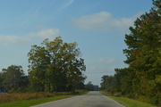 1st Nov 2015 - Country road, Dorchester County, South Carolina