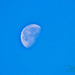 Morning Moon (handheld) by carolmw