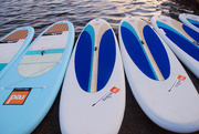 26th Oct 2015 - Paddle Boards