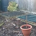 Garden put to bed for the winter  by cataylor41