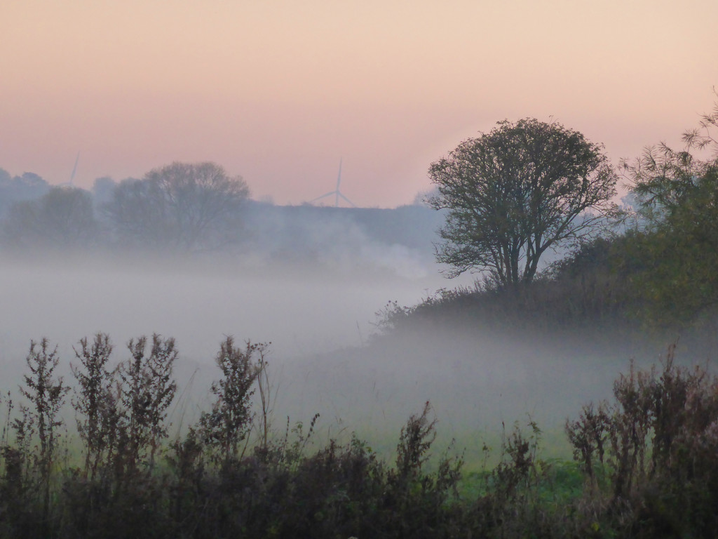 Mist over the Great Ouse  by helenhall