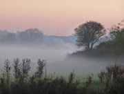 1st Nov 2015 - Mist over the Great Ouse 