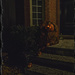 Halloween Night by gardencat