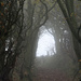 spooky lonning by callymazoo