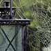 Candle Lamp and Cobwebs by phil_howcroft