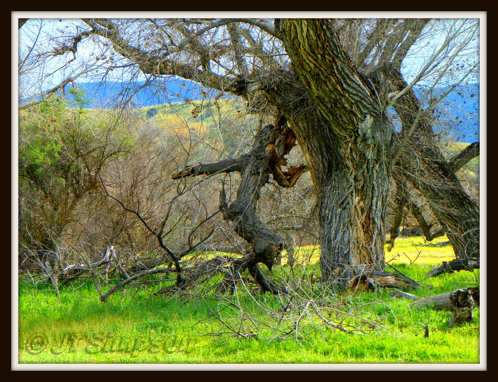 Running man tree by soylentgreenpics