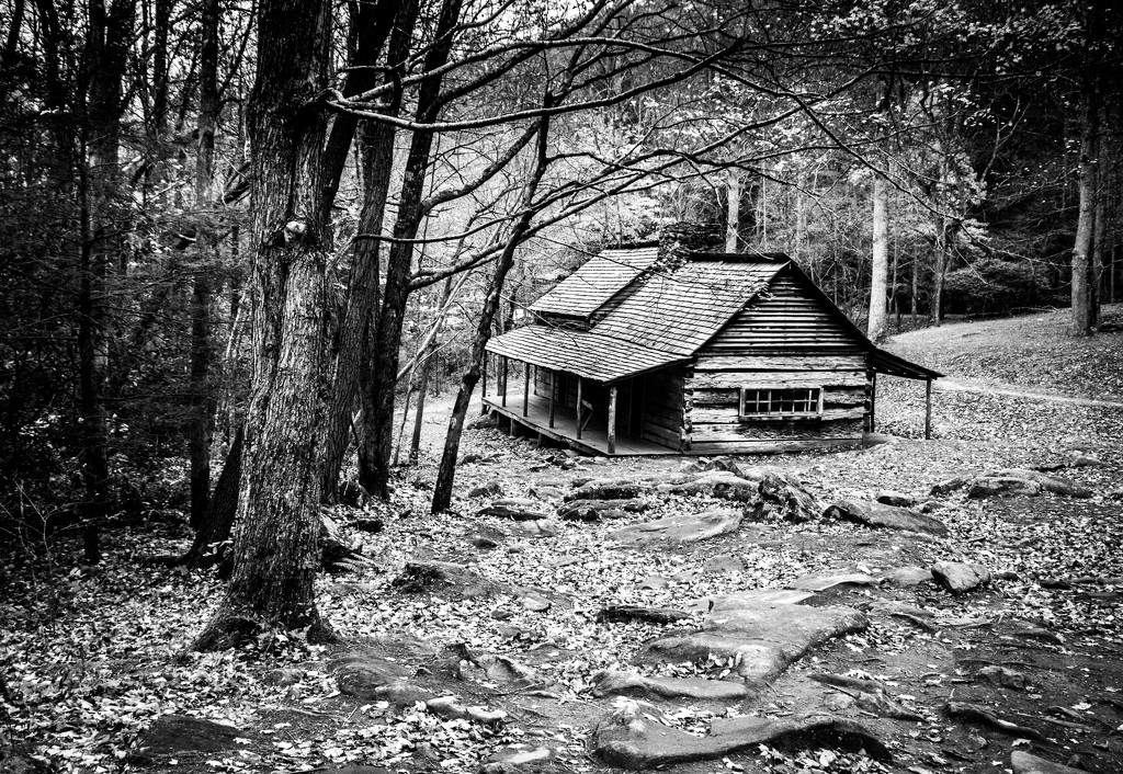 Smoky Mountain Day 4 - Bud's Cabin by darylo