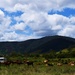 Beautiful Queensland Country...No.4 by happysnaps