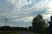 2nd Nov 2015 - Dorchester County country road and sky