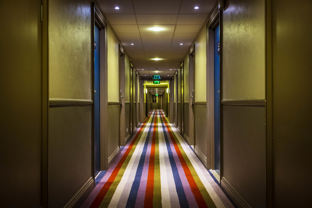 Day 254, Year 3 - Shining Stripes by stevecameras