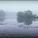 Foggy Morning On The Lake by carolmw