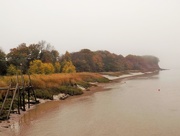 2nd Nov 2015 - River Severn from Lydney Harbour