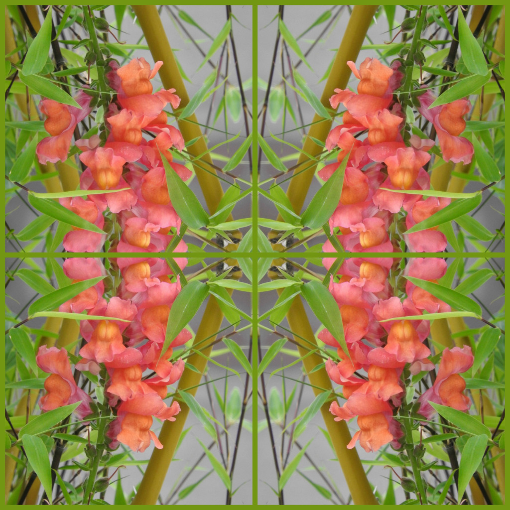 Flower-Bamboo Abstract by seattlite