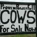 Power Cows by wilkinscd